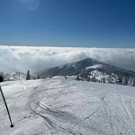Kopaonik -Beautiful View Apartment- Skiing Exterior photo