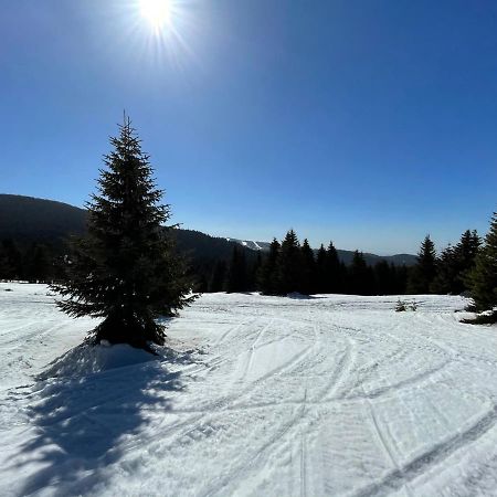 Kopaonik -Beautiful View Apartment- Skiing Exterior photo