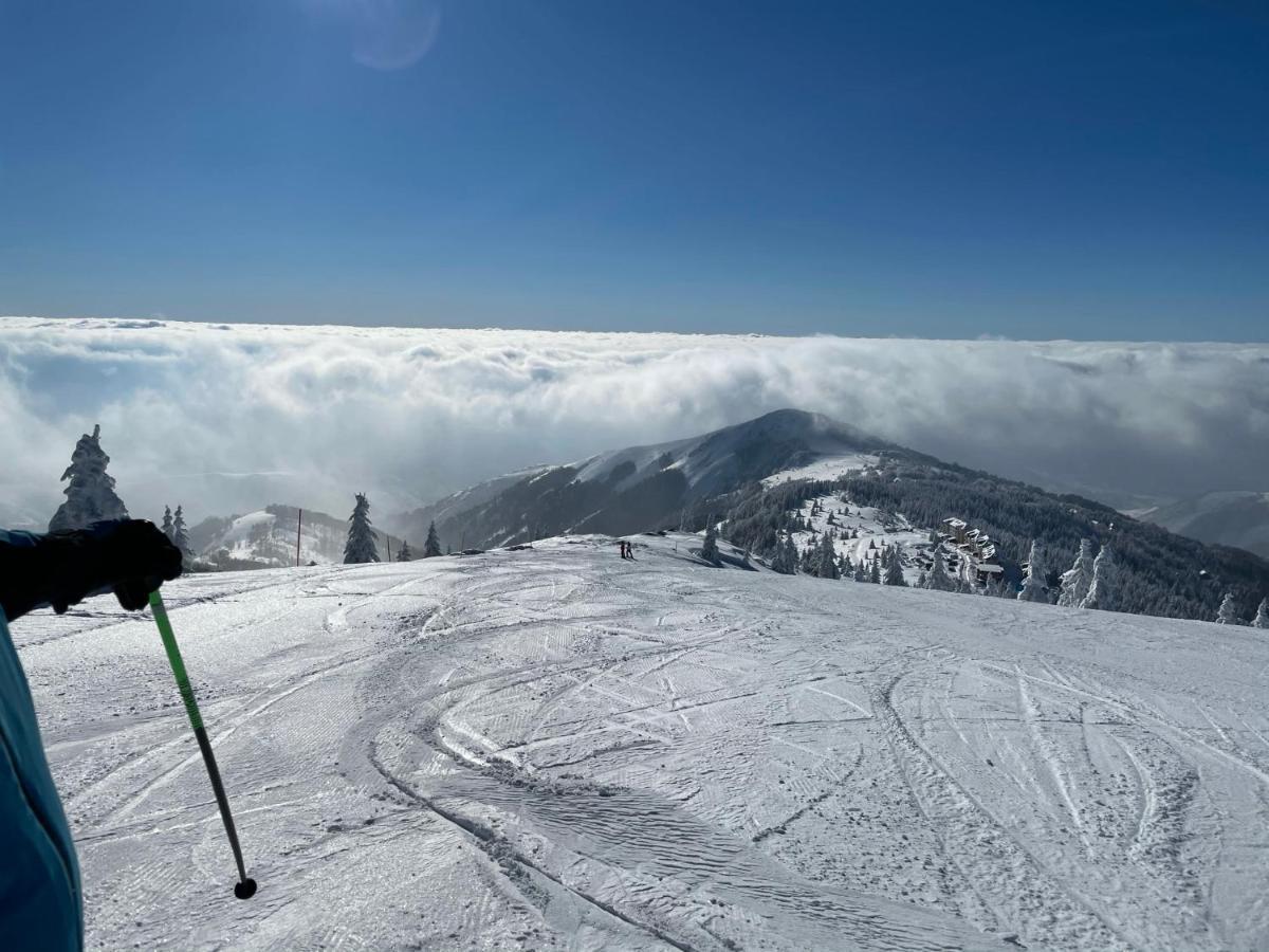 Kopaonik -Beautiful View Apartment- Skiing Exterior photo