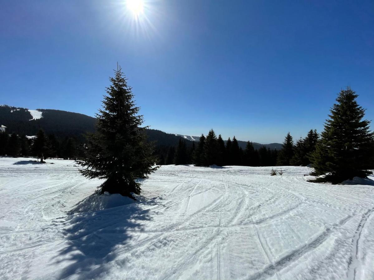 Kopaonik -Beautiful View Apartment- Skiing Exterior photo